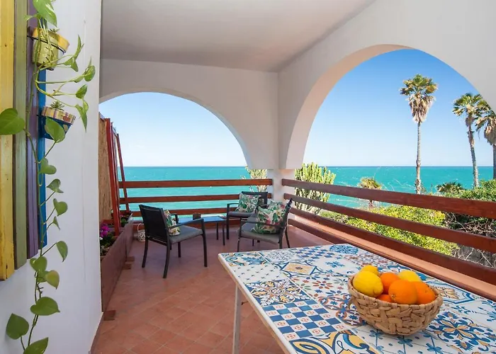 Sciammaca 布鲁克里