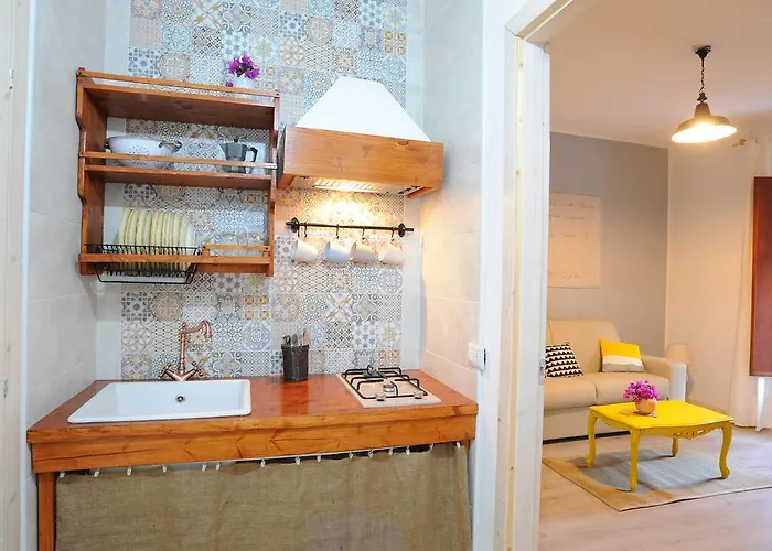 Sciammaca 布鲁克里