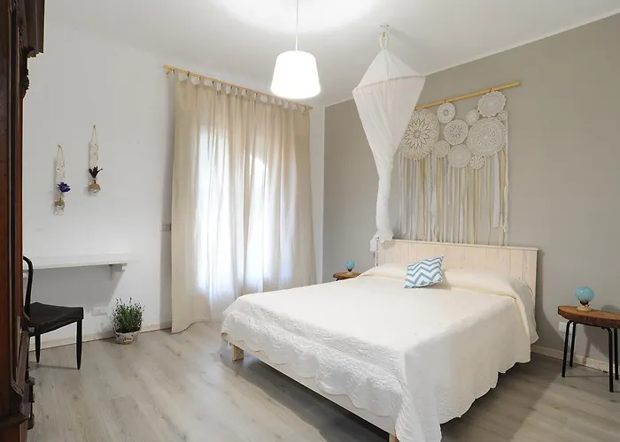 Sciammaca 布鲁克里